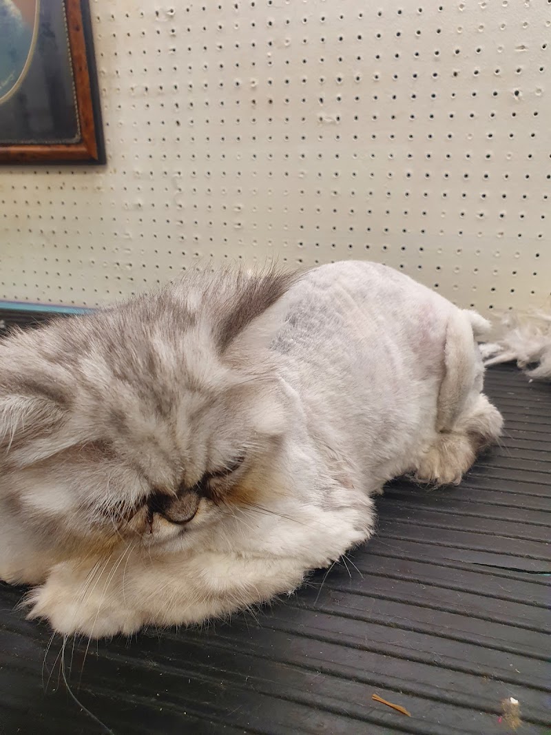 Family Friends Grooming Parlour