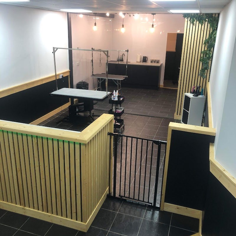 Dog Envy Grooming Salon