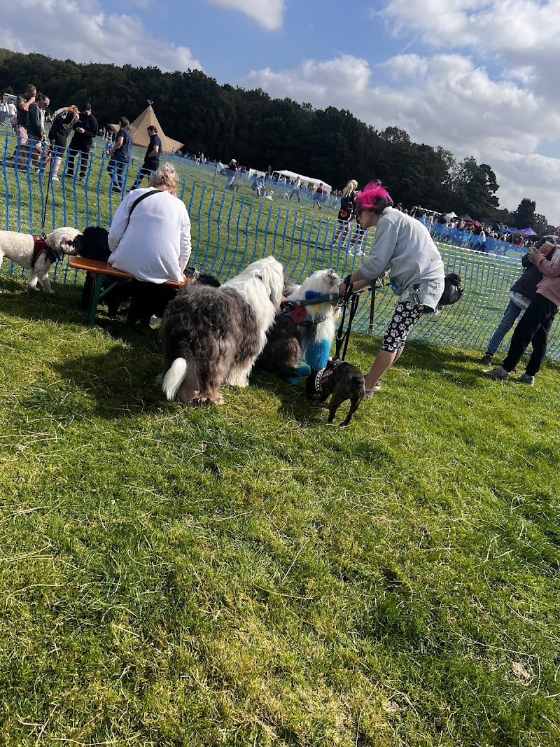 Becks' Pawfect Pets
