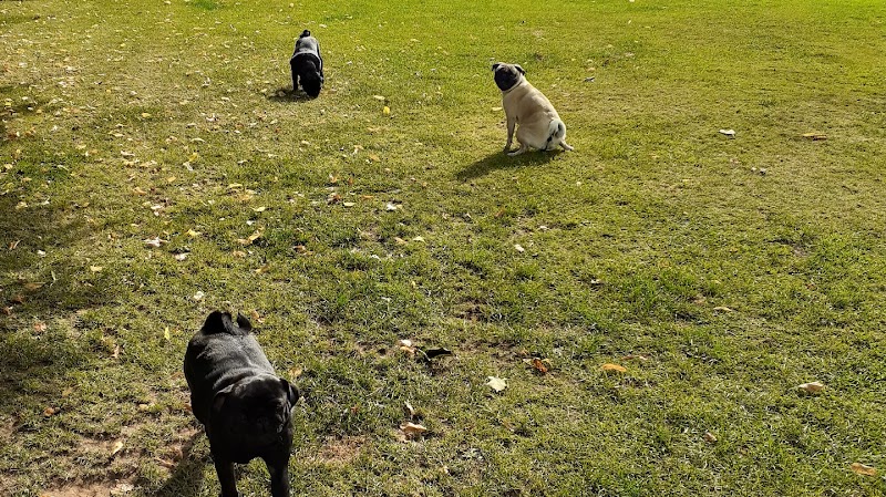 Meriden Dog Training & Exercise Paddock