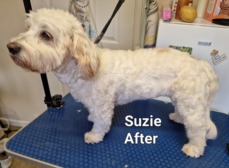 Sharilou's Groomers