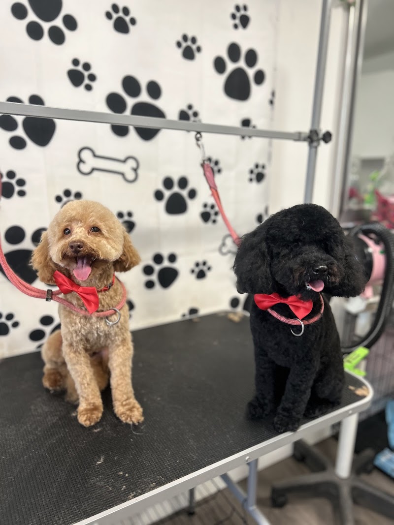 Loubie Lou’s Dog Grooming