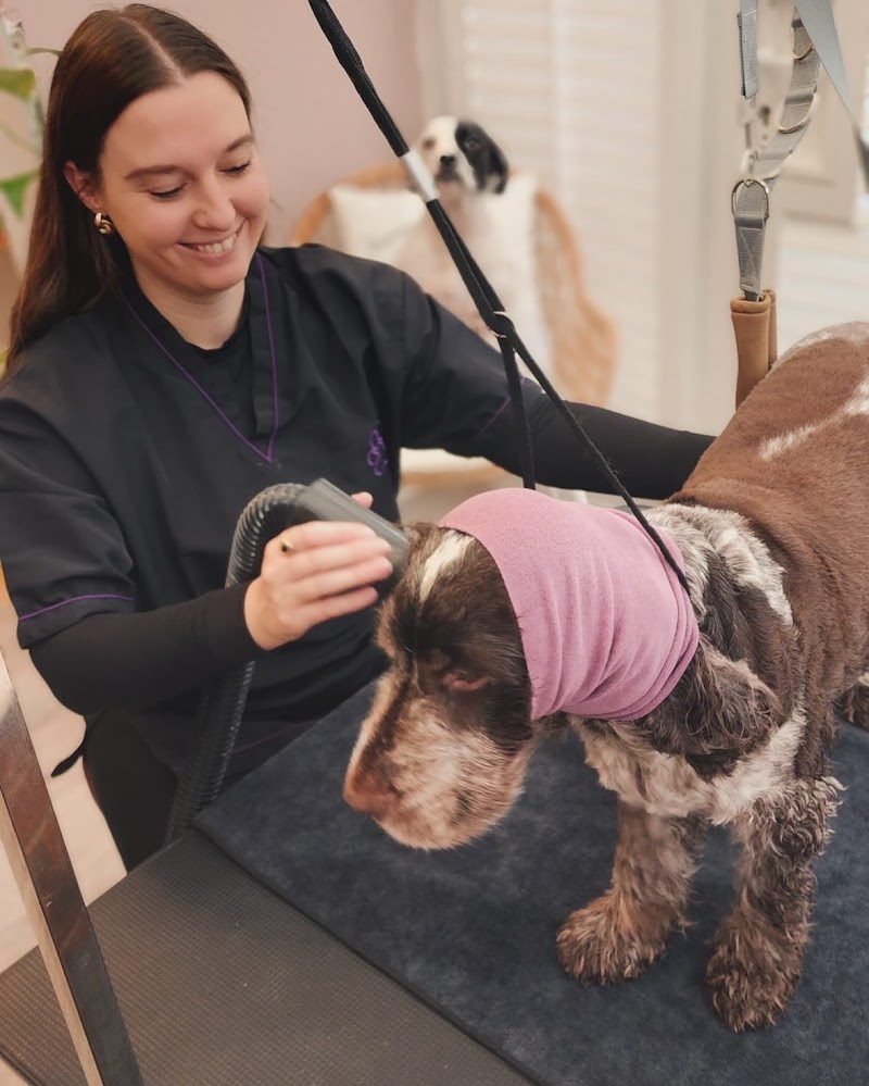 Ziggy’s Pooch Parlour