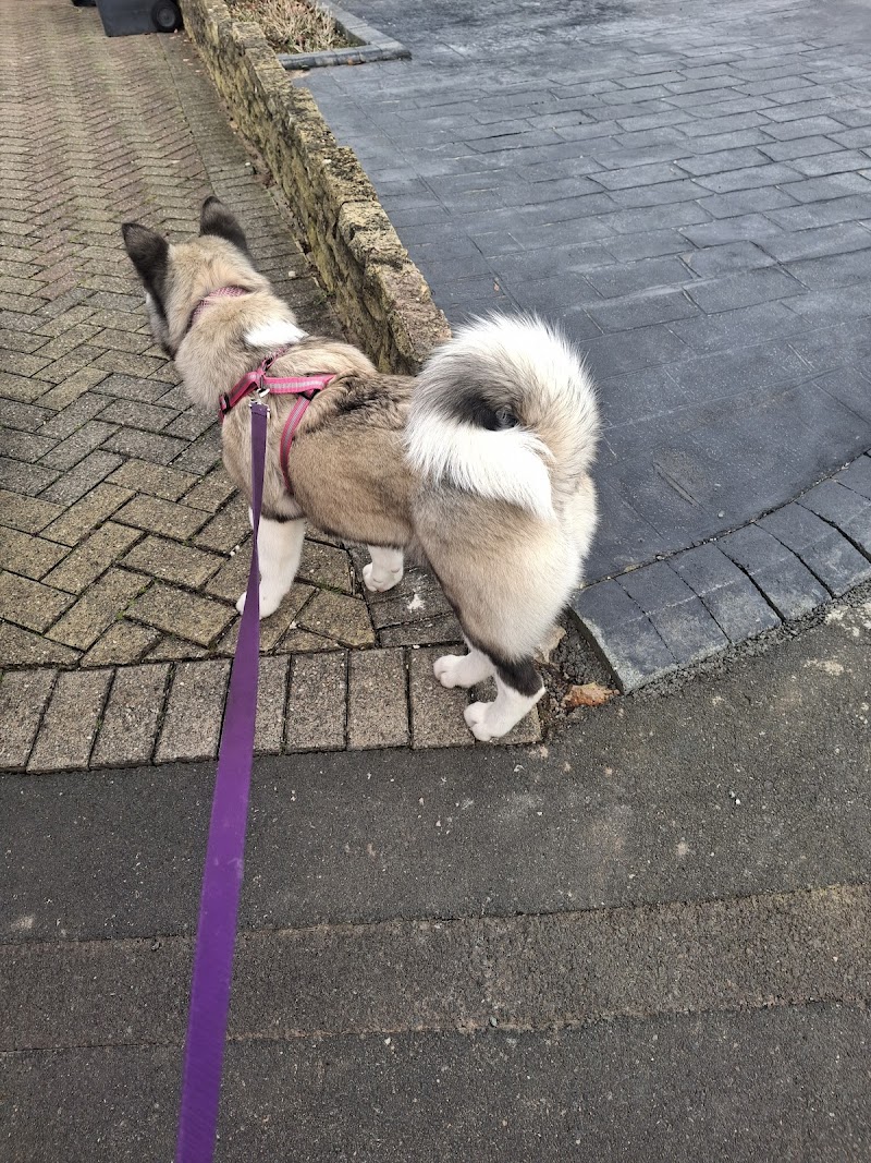 Classy Kanine Canine Beautician