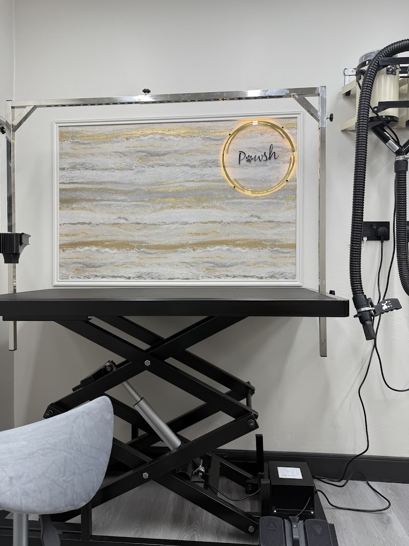 Pawsh Dog Grooming