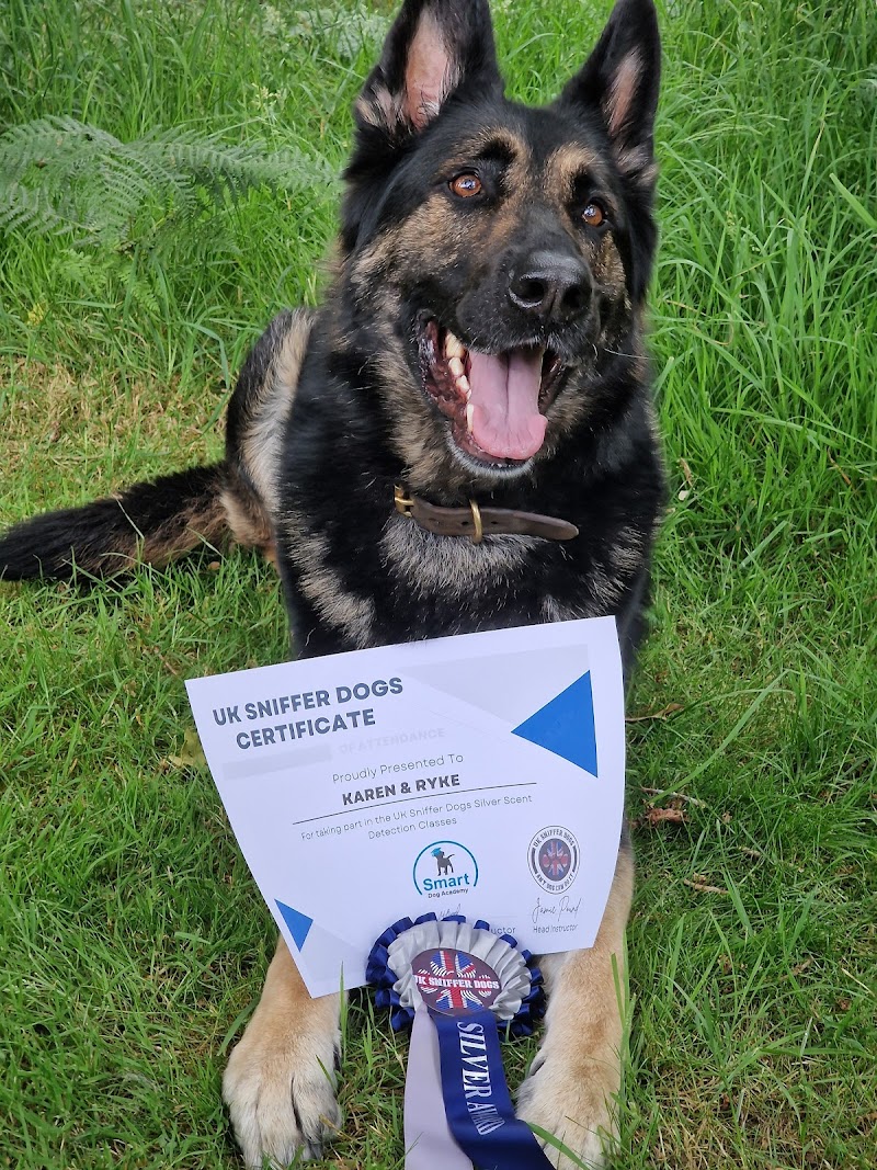 Smart Dog Academy