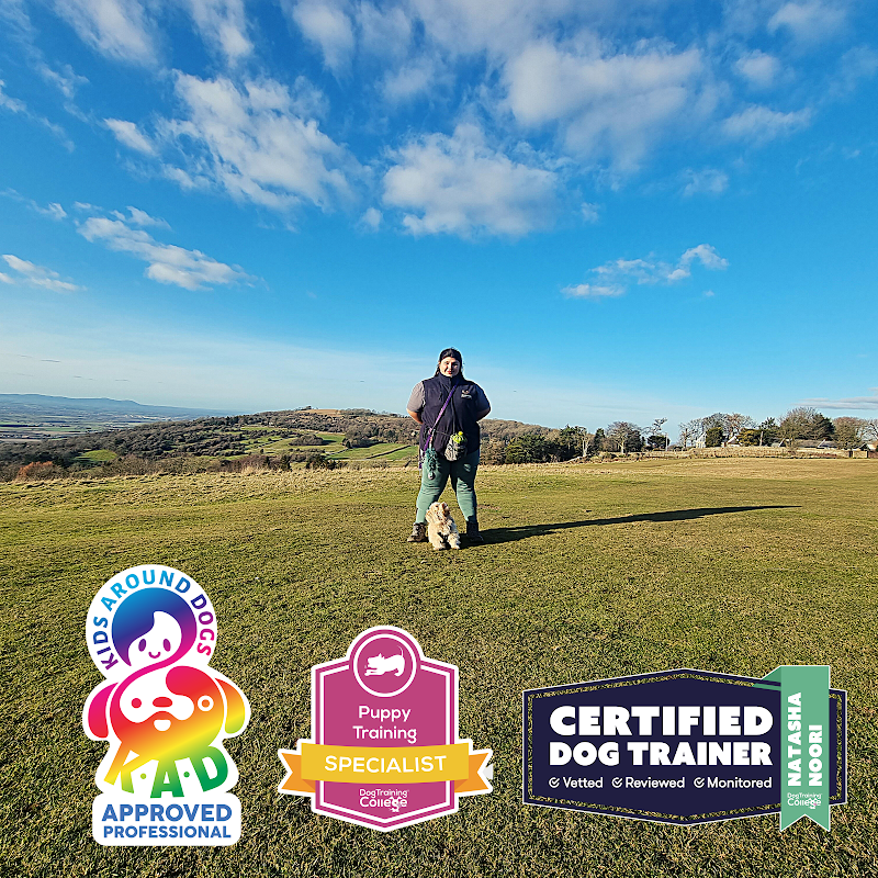 Dogable Dog Training