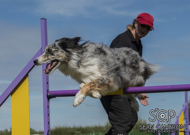 GAiT Agility training