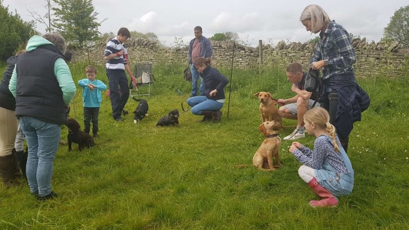 Cotswold Pet Services