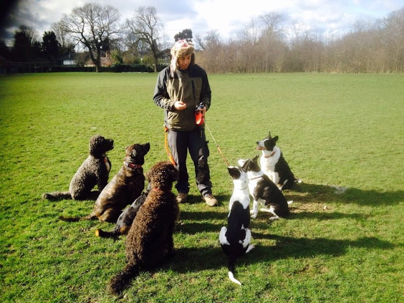 The Dog Guru.London