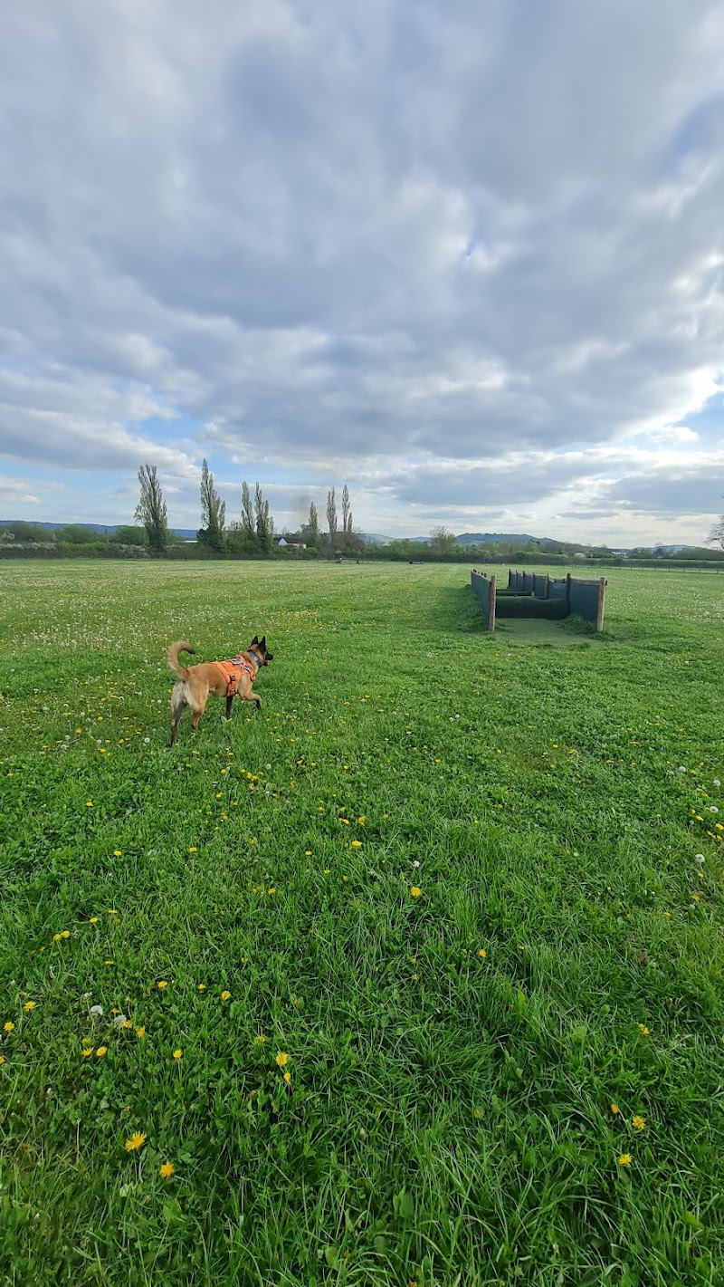 Contented Canine Secure Dog Fields