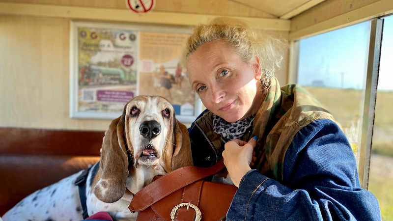 PetShrink - Pet Behaviourist & Dog Trainer