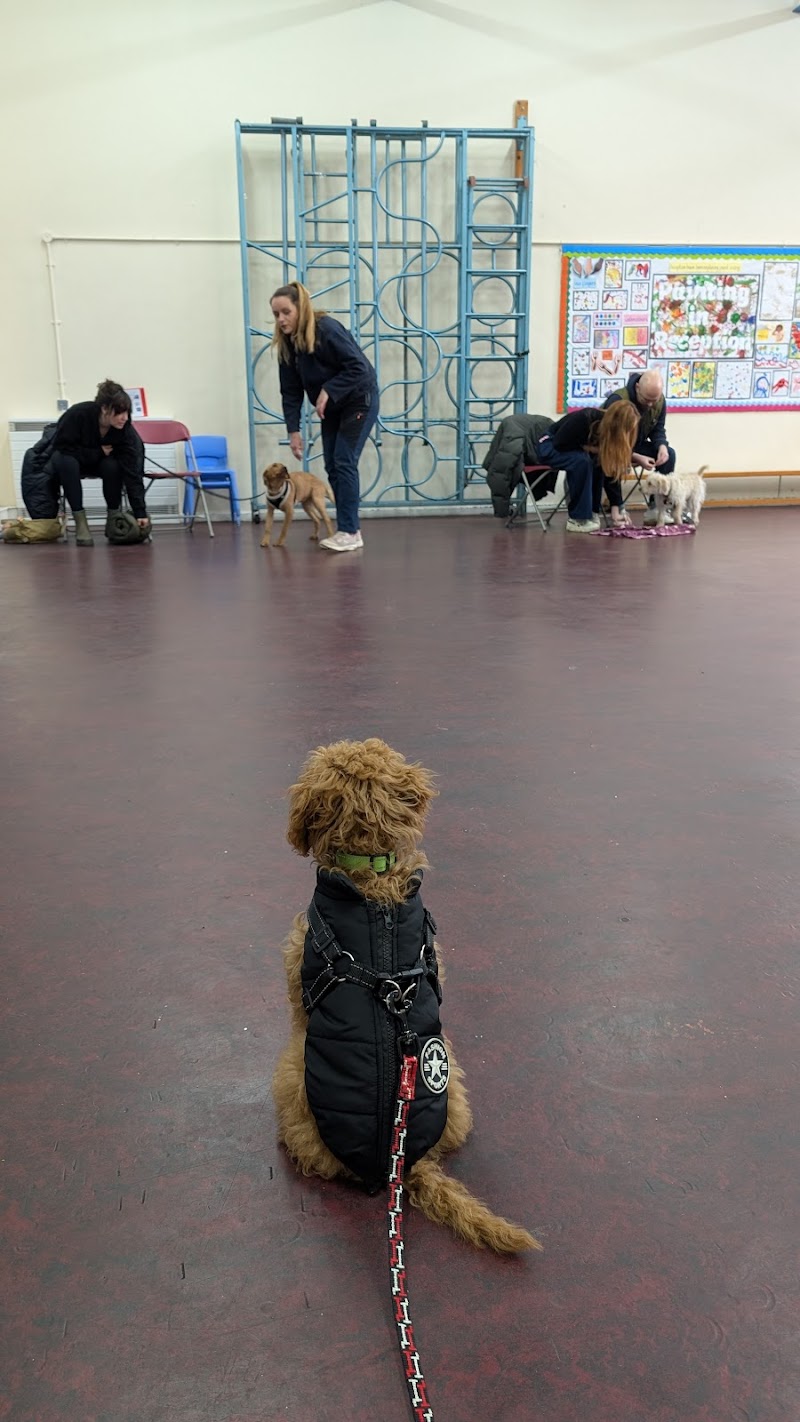 Palace Dog School