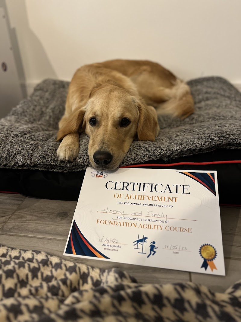 Every Dog Can Dog Training
