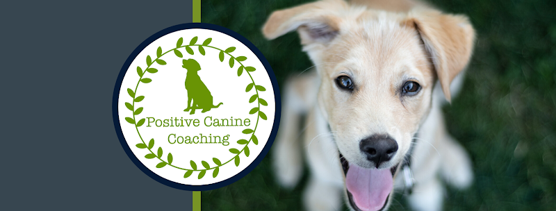 Positive Canine Coaching