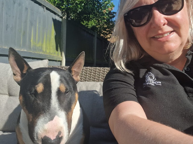 Positive Pet Behaviour