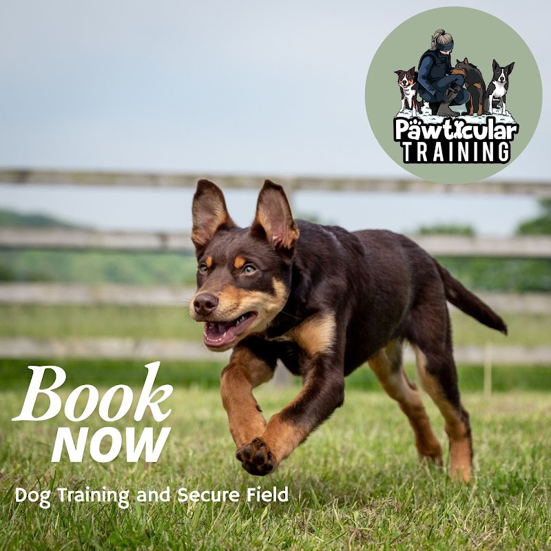 Pawticularly Dog Training & Secure Field