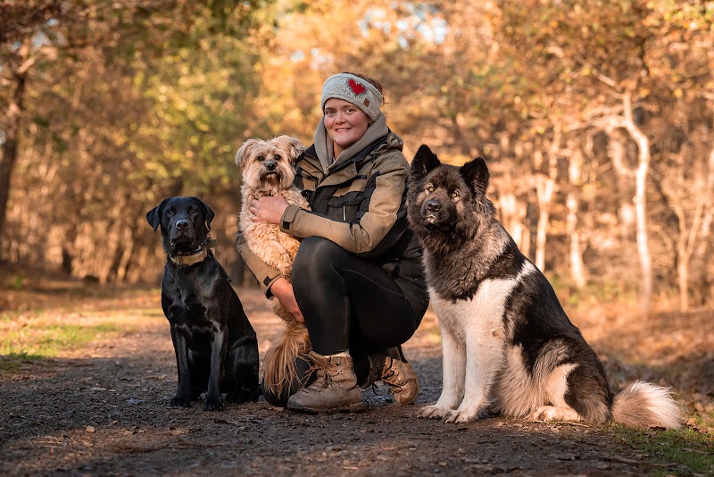 Obedient K9 Dog Training
