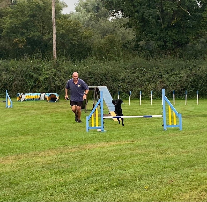 Barkaway Agility Club