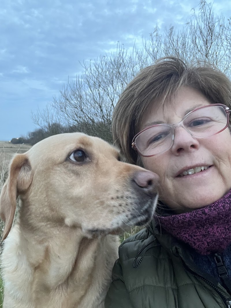 Alba Dogs (Pauline Mitchell)