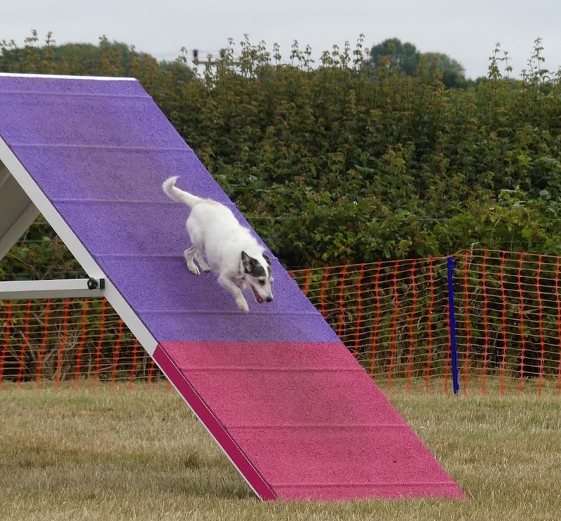 Bedfordshire All Breeds Training Society (B.A.T.S)