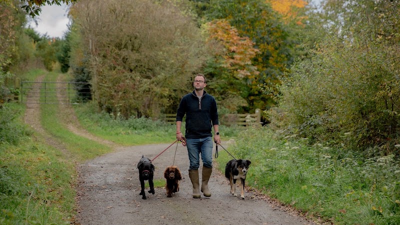 The Dog's Way - Relationship Centred Training