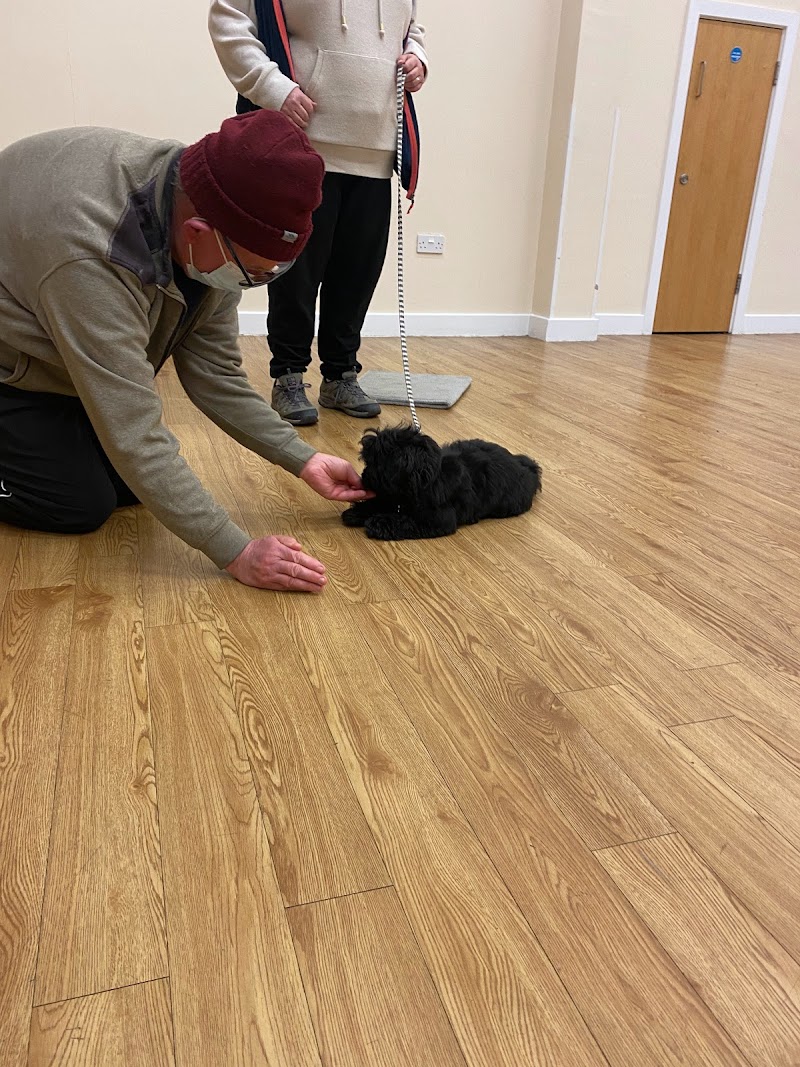 Canine Concept Walks & Training