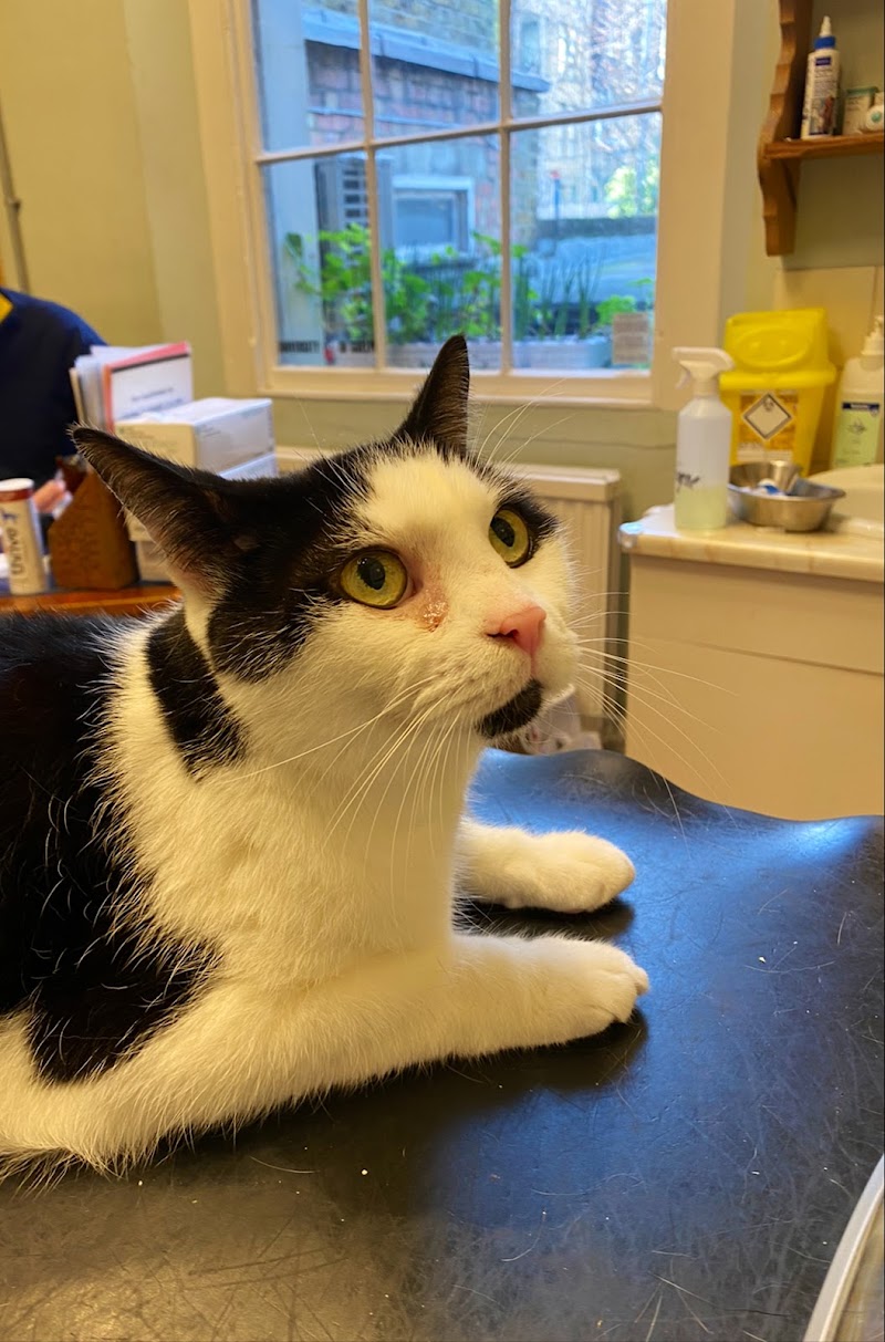 London Veterinary Clinic