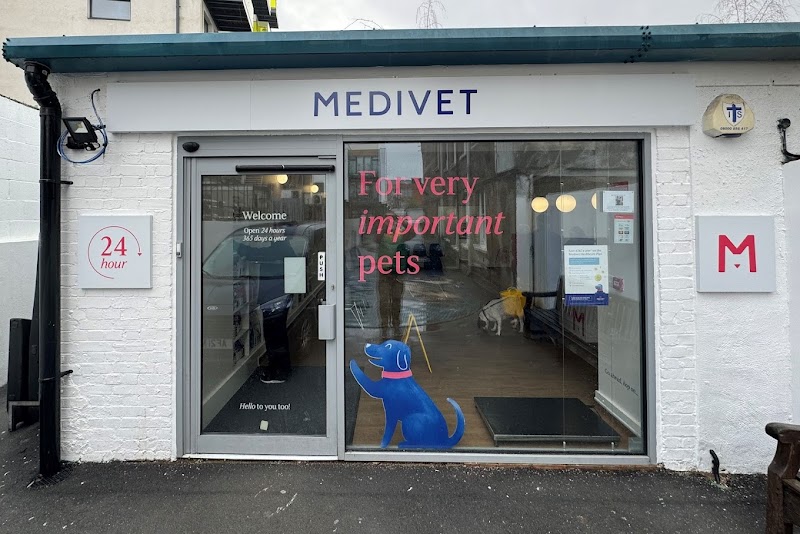 Medivet 24 Hour Camberwell - The London Animal Hospital