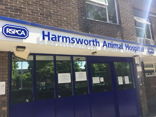 RSPCA Finsbury Park Animal Hospital
