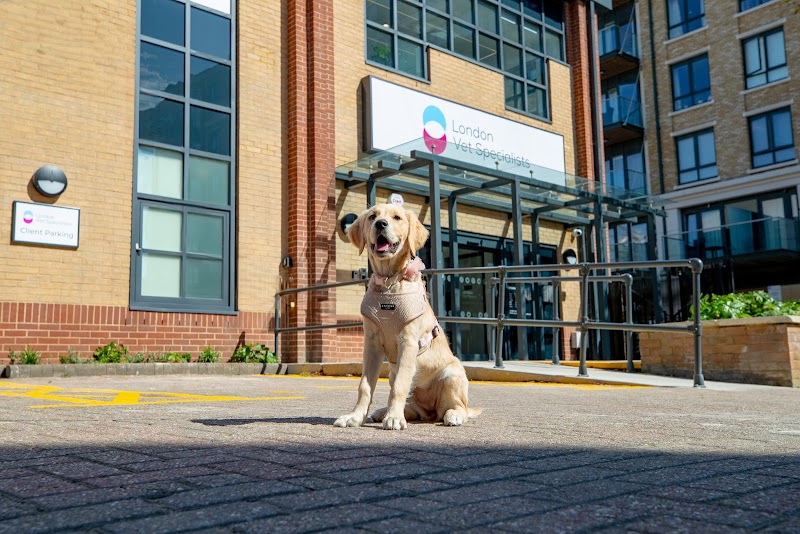 London Vet Specialists