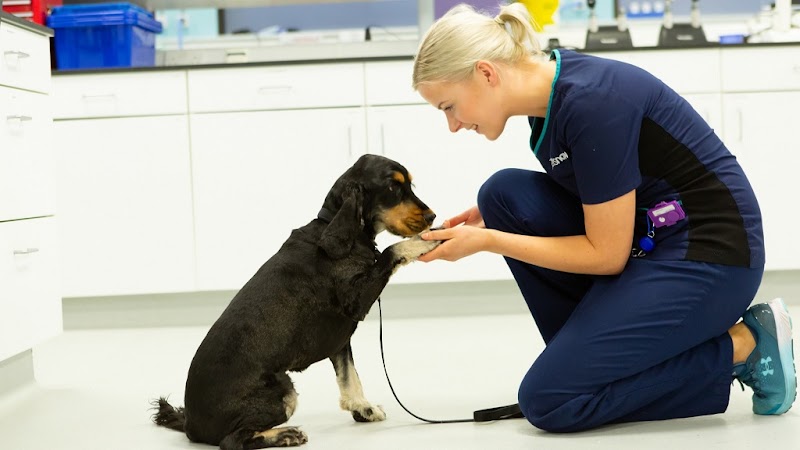 Vets Now Hospital Manchester