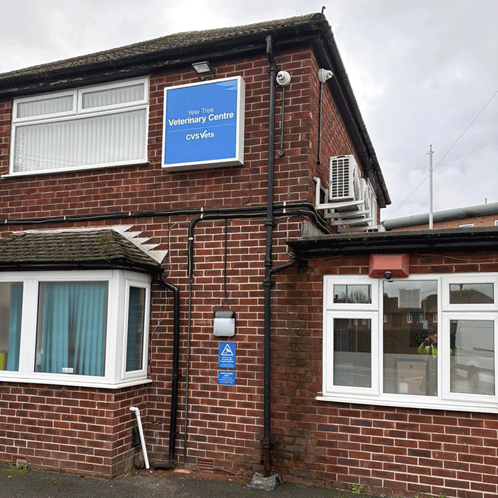 Yew Tree Veterinary Centre