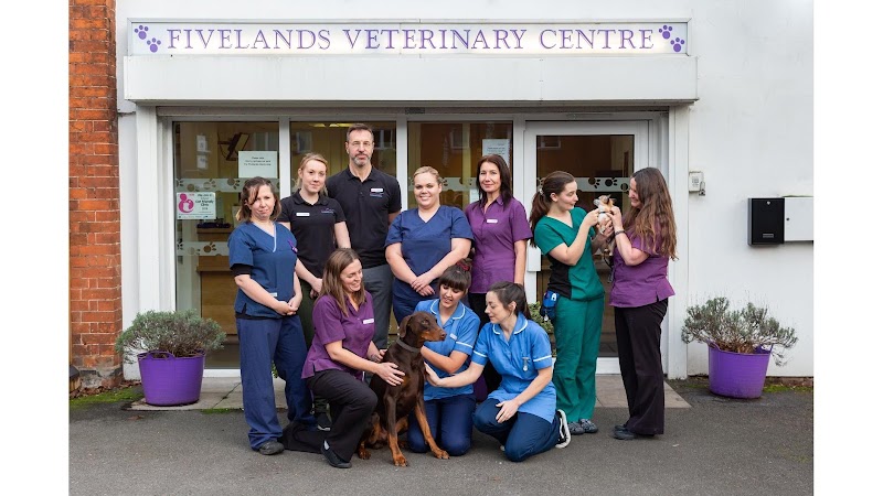 Fivelands Veterinary Centre - Hall Green