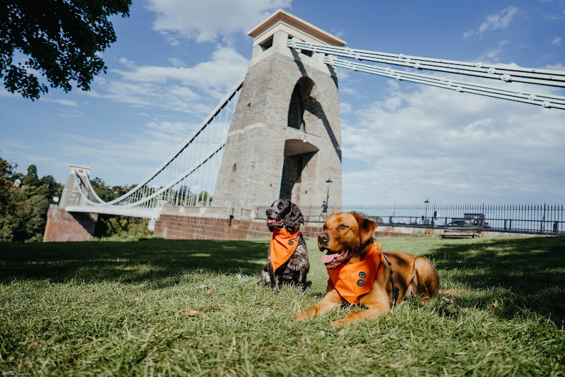 HoundPlus