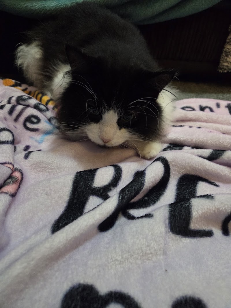 Vets for Pets Leicester Fosse Park